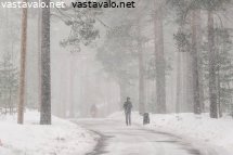 koiran-ulkoiluttaja-huhtikuisessa-lumisateessa