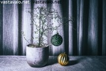 vaihtoehtoinen-joulu