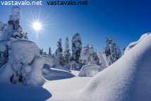 tykkypuut-ukkoluoston-rinteella