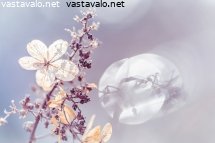 valon-taikaa