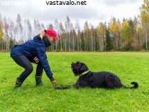 kohta-lahtee-taisteluleikki-kayntiin