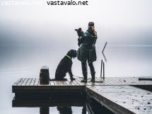 koirien-kanssa-laiturilla