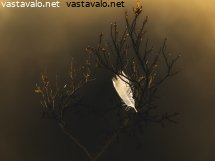 suolammen-syleilyssa