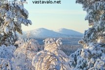 puiden-valista-nakyvat-nattaset