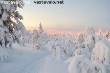 hiihtoura-vintilatunturilta-kohti-suomujoen-laaksoa