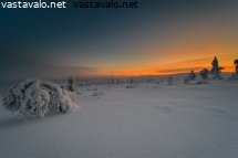 kaamoksen-varit-niilanpaan-loivilla-etelarinteilla