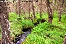 kivijokeen-eli-ylijokeen-laskeva-toreikkooja-litokairassa