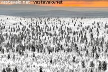 maisema-ampupaiden-rinteilta-etelaan