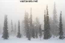 valonkajo-pakkassumussa