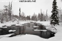 vierihaara