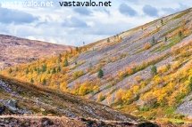 ukselmapaan-rinnetta-paratiisikurun-alapaassa
