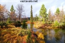 syksyinen-palkkimaoja