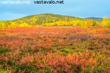 ruskan-varit-kaldoaivissa