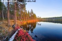 suomujoen-ruskainen-ranta