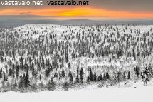 ampupaiden-alarinnetta-ja-kaukainen-taivaanranta