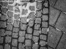 lunta-kivilaattojen-saumoissa