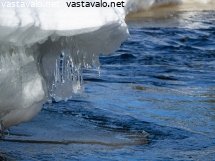 jaapuikkoja-lumisella-joentoyraalla