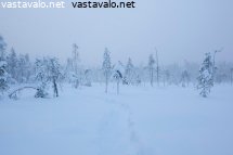 talvisella-suolla