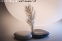 pampaheina-ja-huolikivet