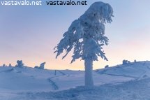 vaahtokarkkivareissa