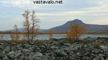 saivaara