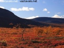 ruskaa-meekonlaaksossa