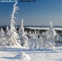 nakyma-riisitunturilta