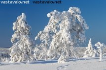 aurinkoista-riisitunturilla