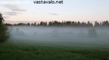 kesaillan-usvaa