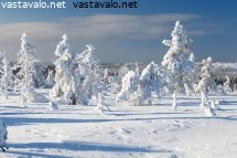 aurinkoista-riisitunturilla