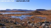 syksyinen-tunturimaisema