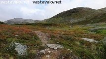 urtaslaakso