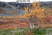 syksyinen-meekonlaakso
