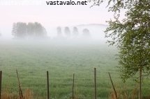 kesaillan-usvaa