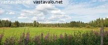 loppukesa-pohjoisen-pelloilla