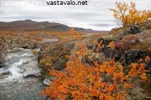 kalottireitin-maisemissa