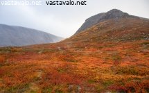 ruskan-loistoa