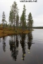 karijarven-rannalla