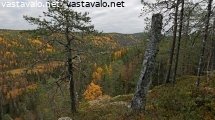 korouoman-ruskaa