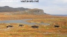 meekonlaakson-mokkeja