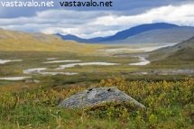 urtaslaakso
