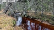 korojoen-syksya