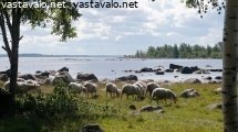 maiseman-hoitajat-hommissa