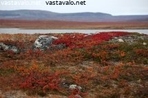 ruskan-loistoa