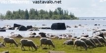 maisemanhoitajat