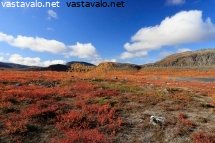 ruskaa-meekonlaaksossa