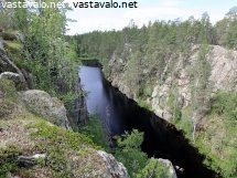 kalliohalsi