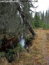 korojoen-syksya