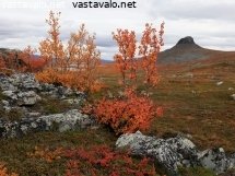 syksyinen-meekonlaakso