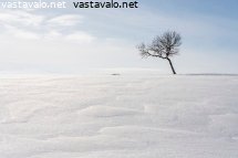 kevattalven-hohtoa